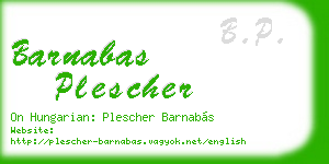 barnabas plescher business card